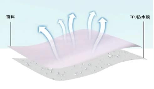 1671150667938523.jpg v2-126d28d1c74a3d9fc3a2cf353affb021_1440w.jpg